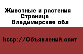  Животные и растения - Страница 11 . Владимирская обл.